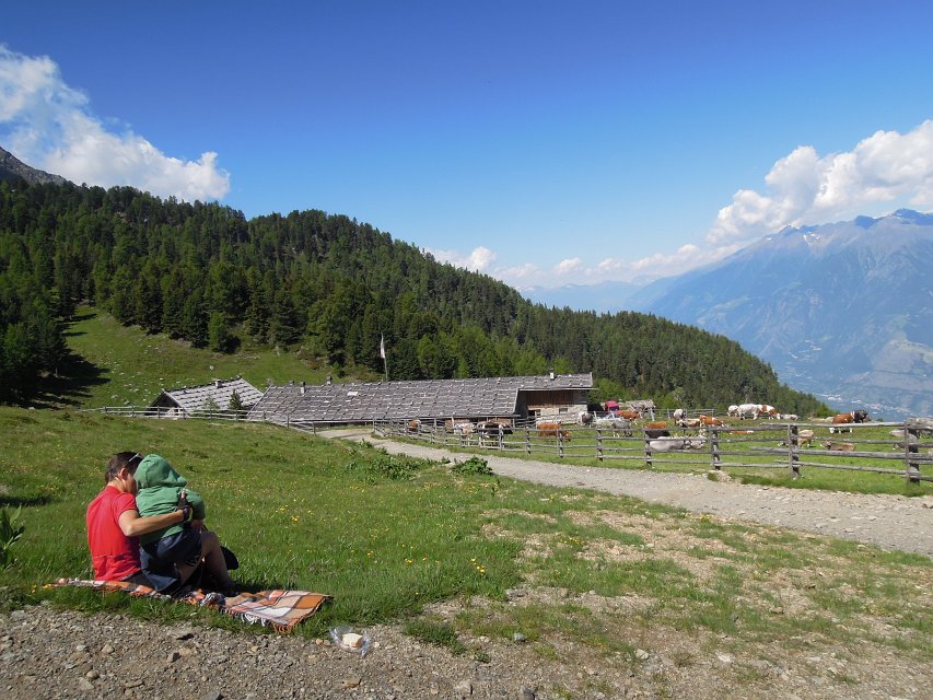 Naturnser Alm