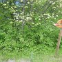 Querfeldein immer der Nr. 2 nach