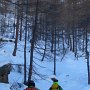 Nach mehreren Serpentinen durch den Wald....